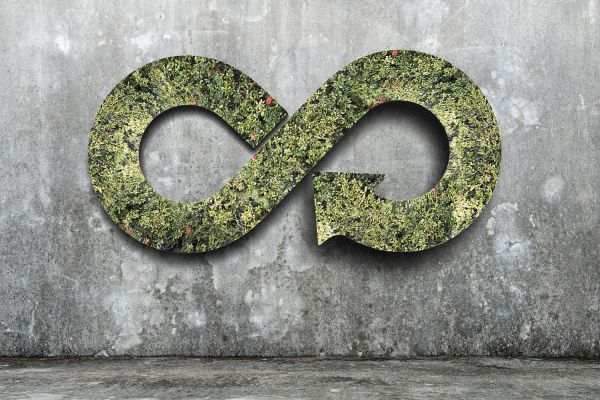 Både små och stora företag har nytta av en mer hållbar och cirkulär riktning