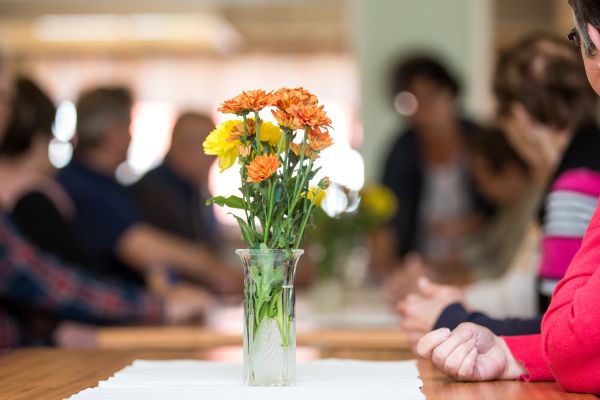 Entreprenörskap inom hälsa och välfärd - på den österbottniska landsbygden och i skärgården