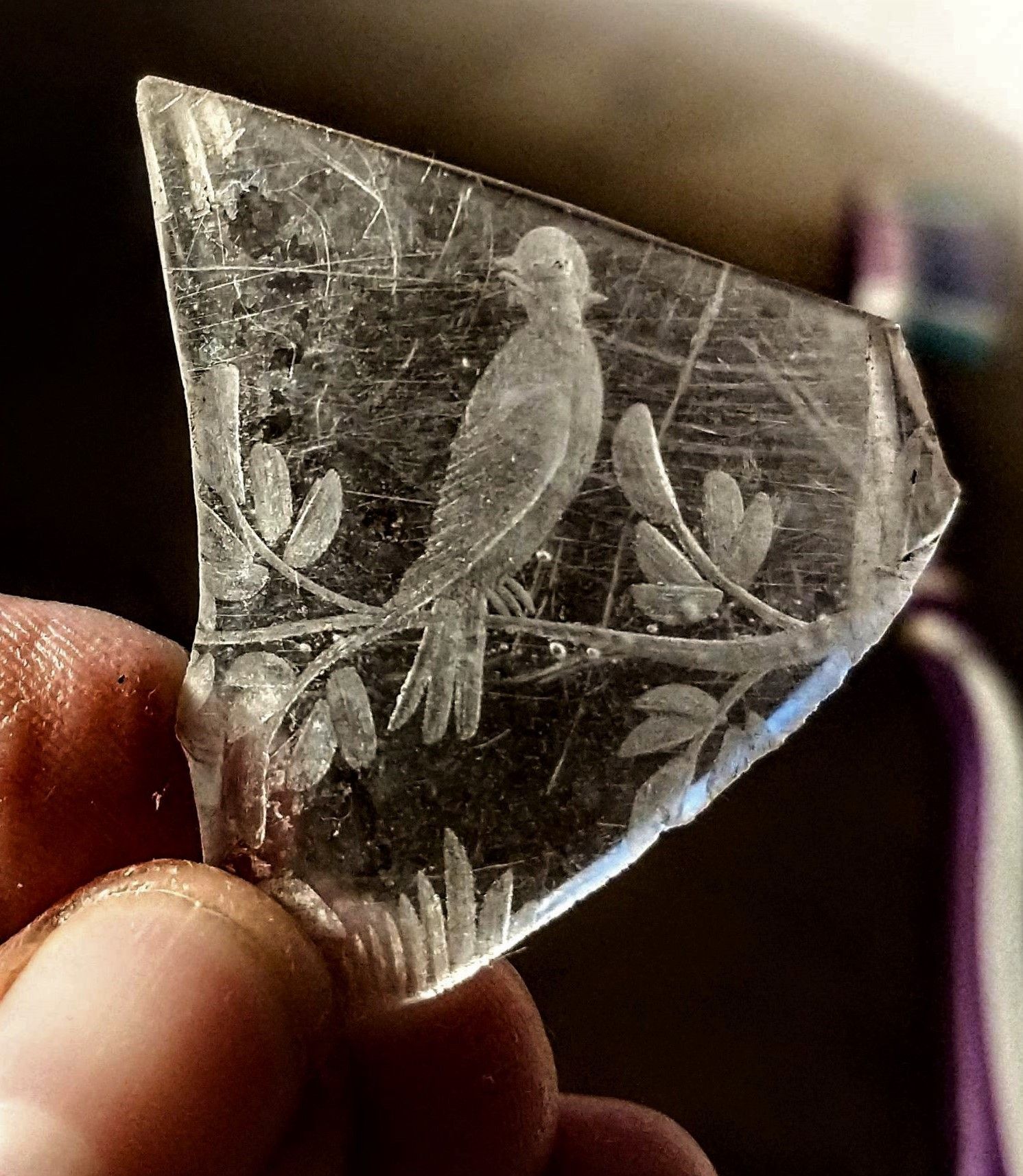 Detta fragment av kristallglas hör till höstens absolut vackraste fynd vid utgrävningarna på Korsholms vallar. Foto: Jemina Rajamäki.