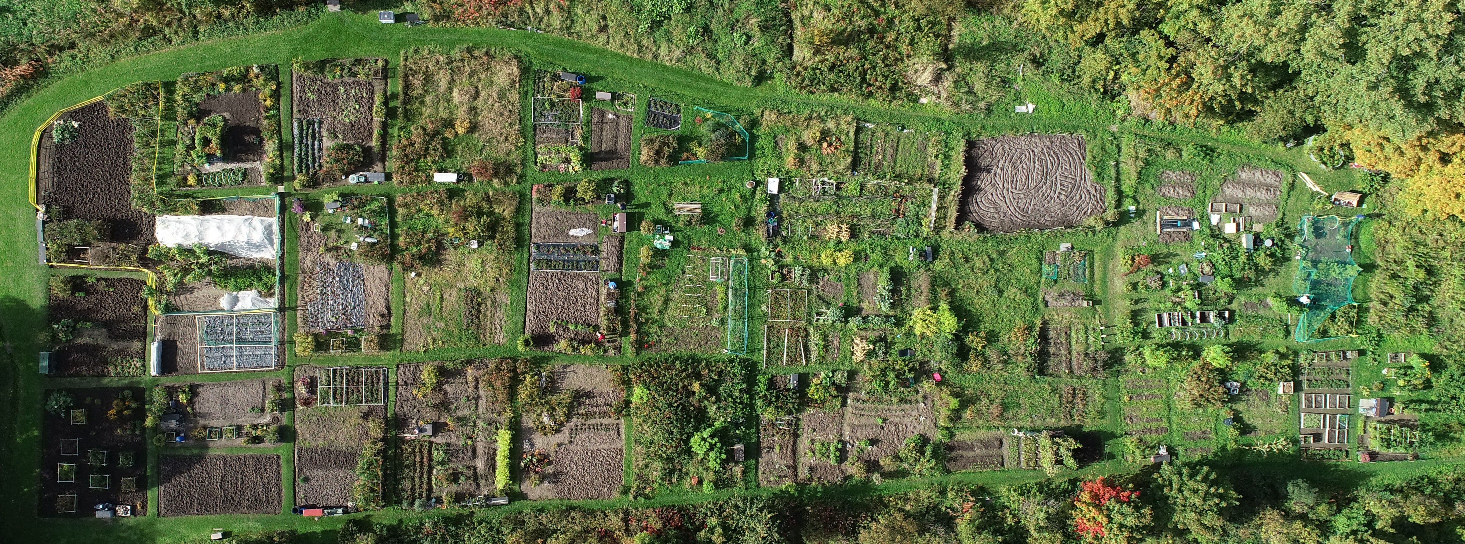 Under våren och sommaren 2020 dokumenterar kursdeltagarna sina projekt. Bilden är ett flygfoto av koloniträdgård i Raseborg