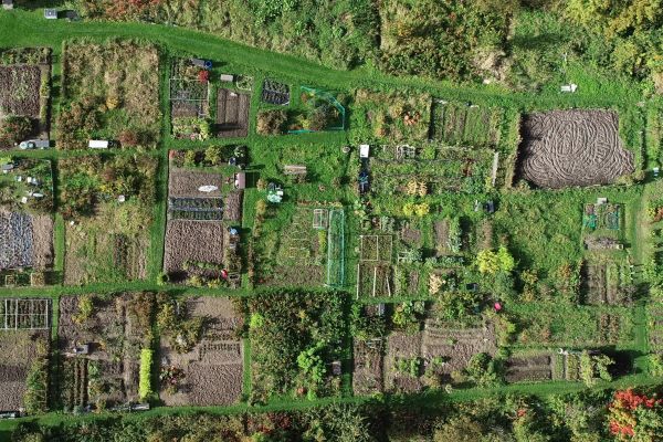 Kursen permakultur och regenerativt jordbruk lockar deltagare från hela Svenskfinland – följ deras projekt i nystartad blogg