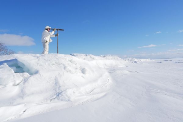 I fälan – utställning om säljakten i Världsarvsporten