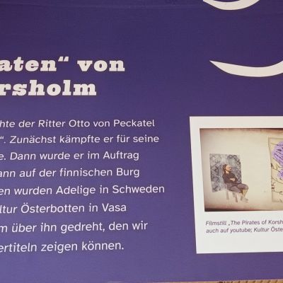 Vitaliebröderna från Korsholms slott är nu i Rostock!