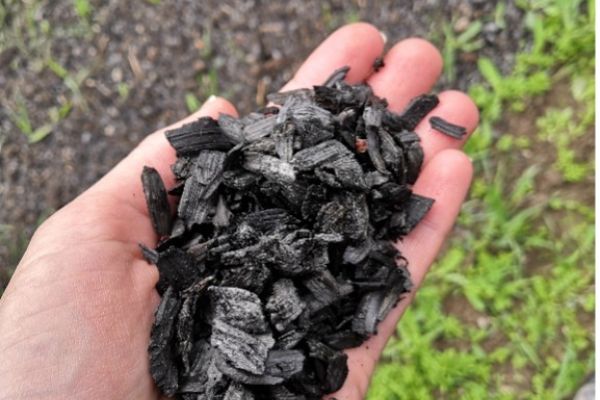 Projekt EkoNu 3.0 testar biokol och biostimulanter på ekologisk gård