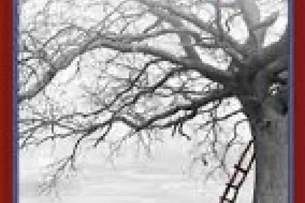 Ledarskap med struktur och tuff omsorg - studiecirkel i YA:s ledningsgrupp