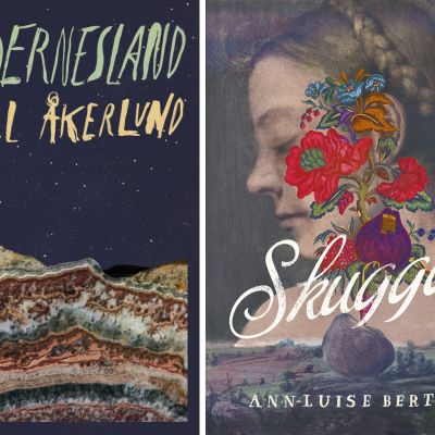 Vasa LittFest: Bertell och Åkerlund samtalar om gränser