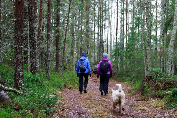 Både natur och människor behöver vårdas för att må bra