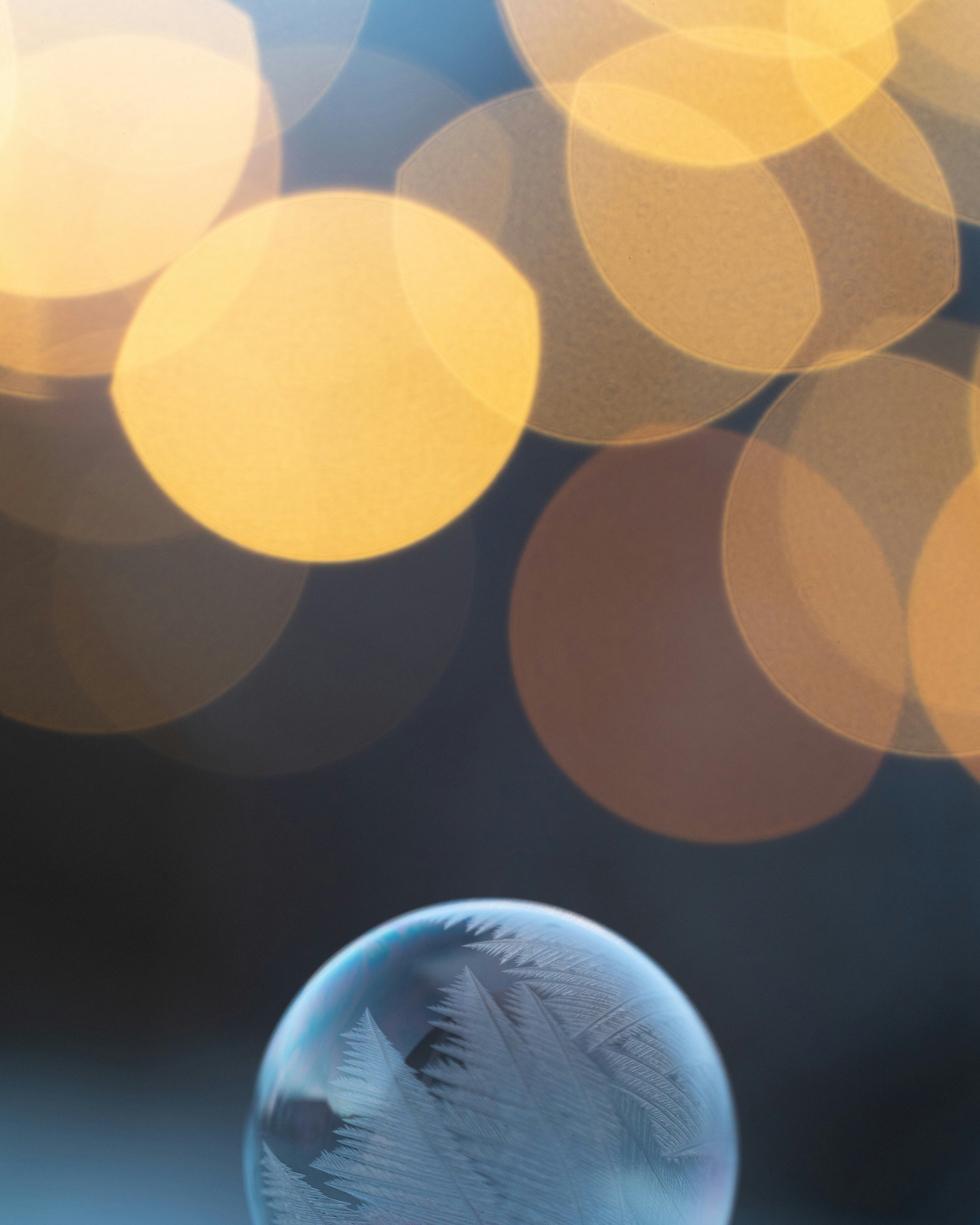 Ett nytt utvecklingsskede för yrkesutbildningen och för YA